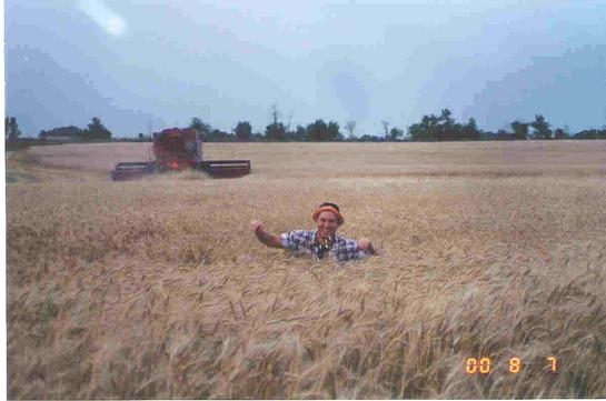 20000807-wheat-field